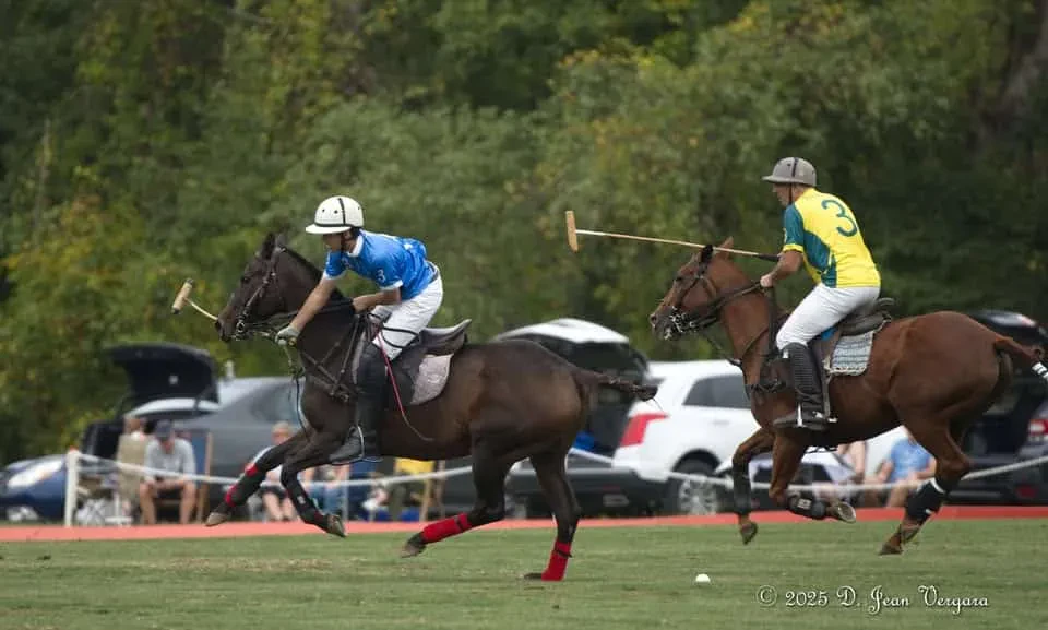Horsepower Car Show | Polo Match
