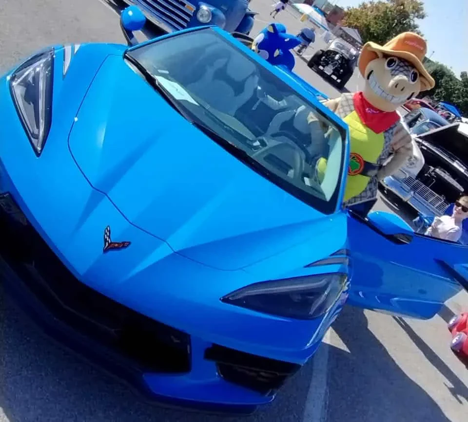 Car and Bike Show
